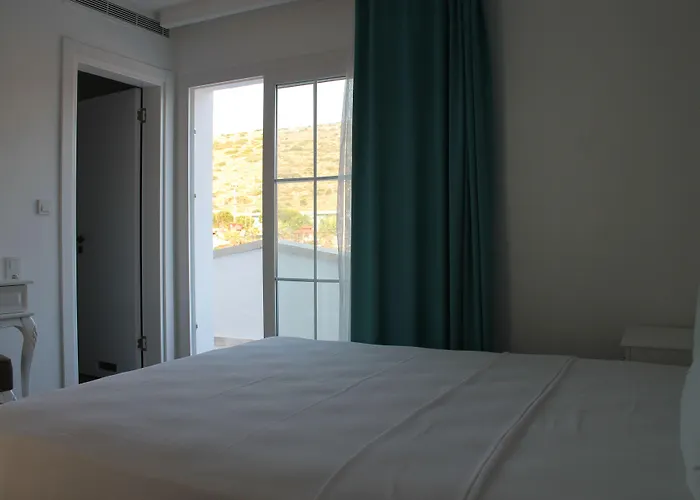 Hotel Alesya