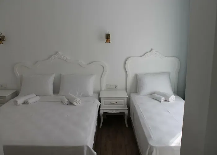 Hotel Alesya 4*